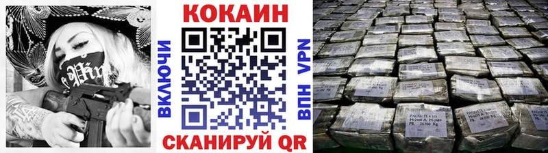Купить закладки  Приморск  COCAIN Fish Scale 