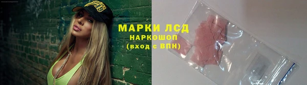 PSILOCYBIN Вязьма