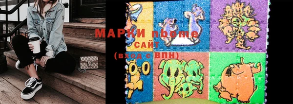PSILOCYBIN Вязьма