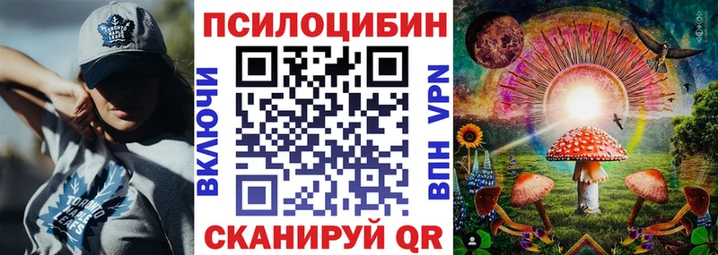 Купить  Приморск  Псилоцибиновые грибы GOLDEN TEACHER 